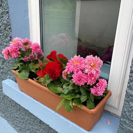 度假居 Clinton's *